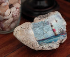 Lighthouse shell with scripture