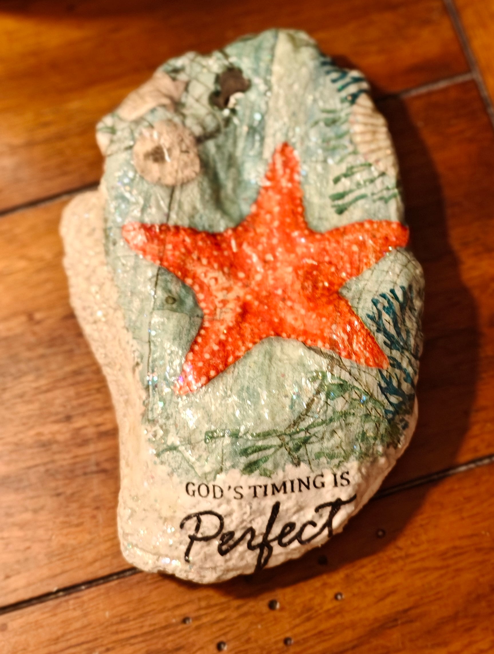 The "Appointed Time" Coral Starfish Shell