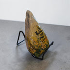 "You Grow Through What You Go Through" Daffodil Medium River Stone