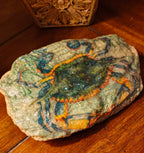 The "Sheltered Soul" Blue Crab Keepsake