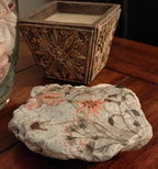 The "Hidden Promise" Peach Floral Shell