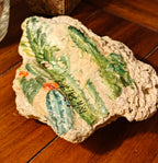 Jesus Loves You" Cactus Design Shell – Medium Hand-Decorated Desert Decor