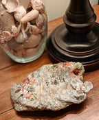 The "Petals of Peace" Walk in Love Shell