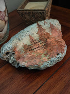 The Forest Grace Shell | Large Hand-Decorated Rustic Woodland Scallop