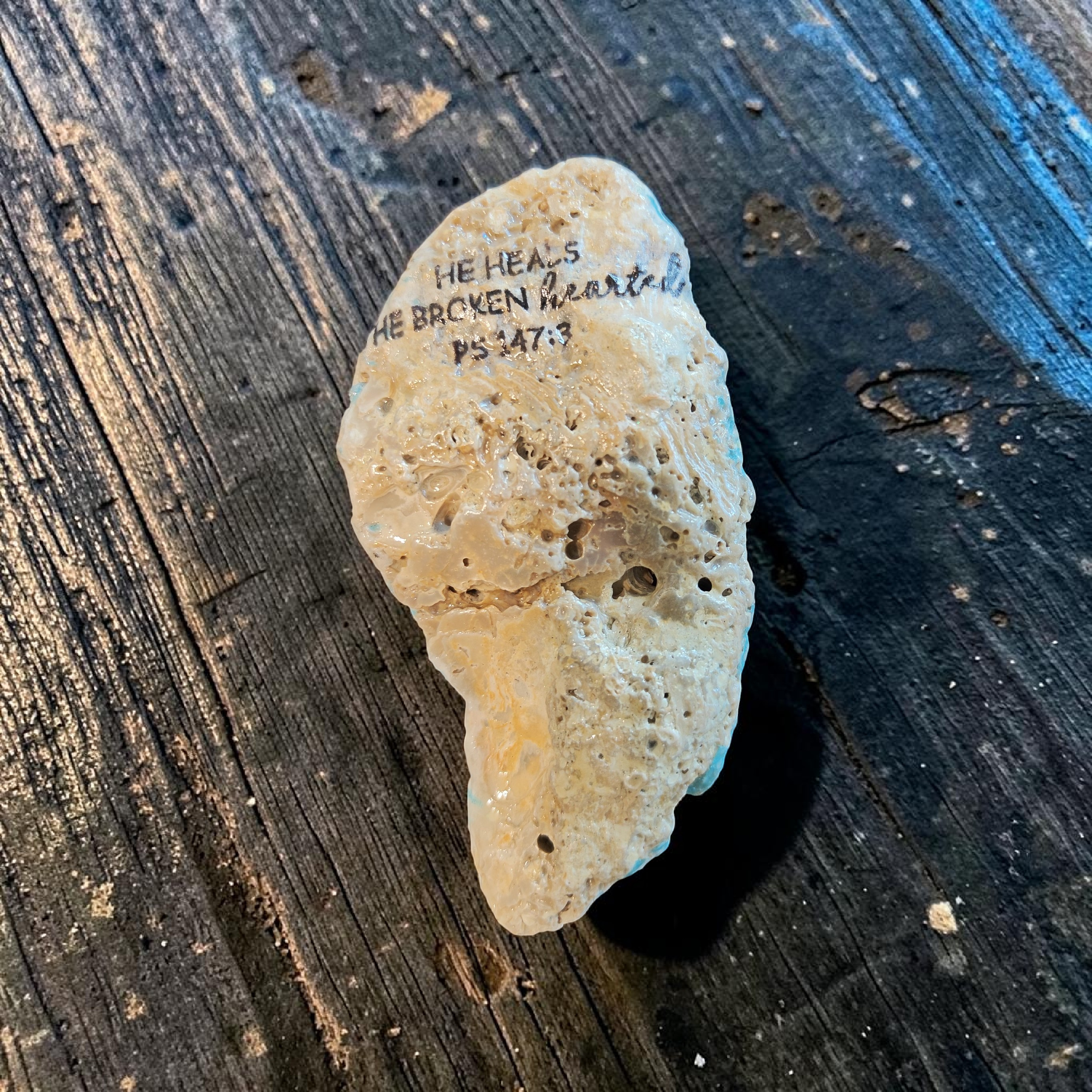 "He Heals" Red Seahorse Shell | A Reminder of God’s Comfort