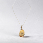 The "Golden Wish" Dandelion Shell Necklace
