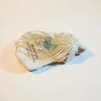 Natural Peacock Feather Scripture Shell – Faith-Based Home Decor