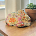 "A Future & A Hope" Floral Shell | Hand-Decorated Style Natural Decor