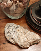 "May God's love" brighten your day decorative shell