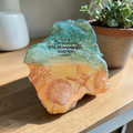 "Nothing is Impossible" Hand-Decoupaged NC Sea Shell – Coastal Faith Decor