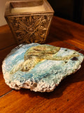 Thanks to God who delivers me sea turtle shell