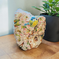 "Nothing is Impossible" Hand Decorated Bird & Blossom Decoupage Shell