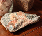"We Love Because He Loved Us" Hand-Decorated Shell – Angel and Deer Motif – 1 John 4:19