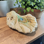 Natural Peacock Feather Scripture Shell – Faith-Based Home Decor