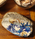 "Cast Your Cares" Scripted Shell | Blue Coral Home Decor