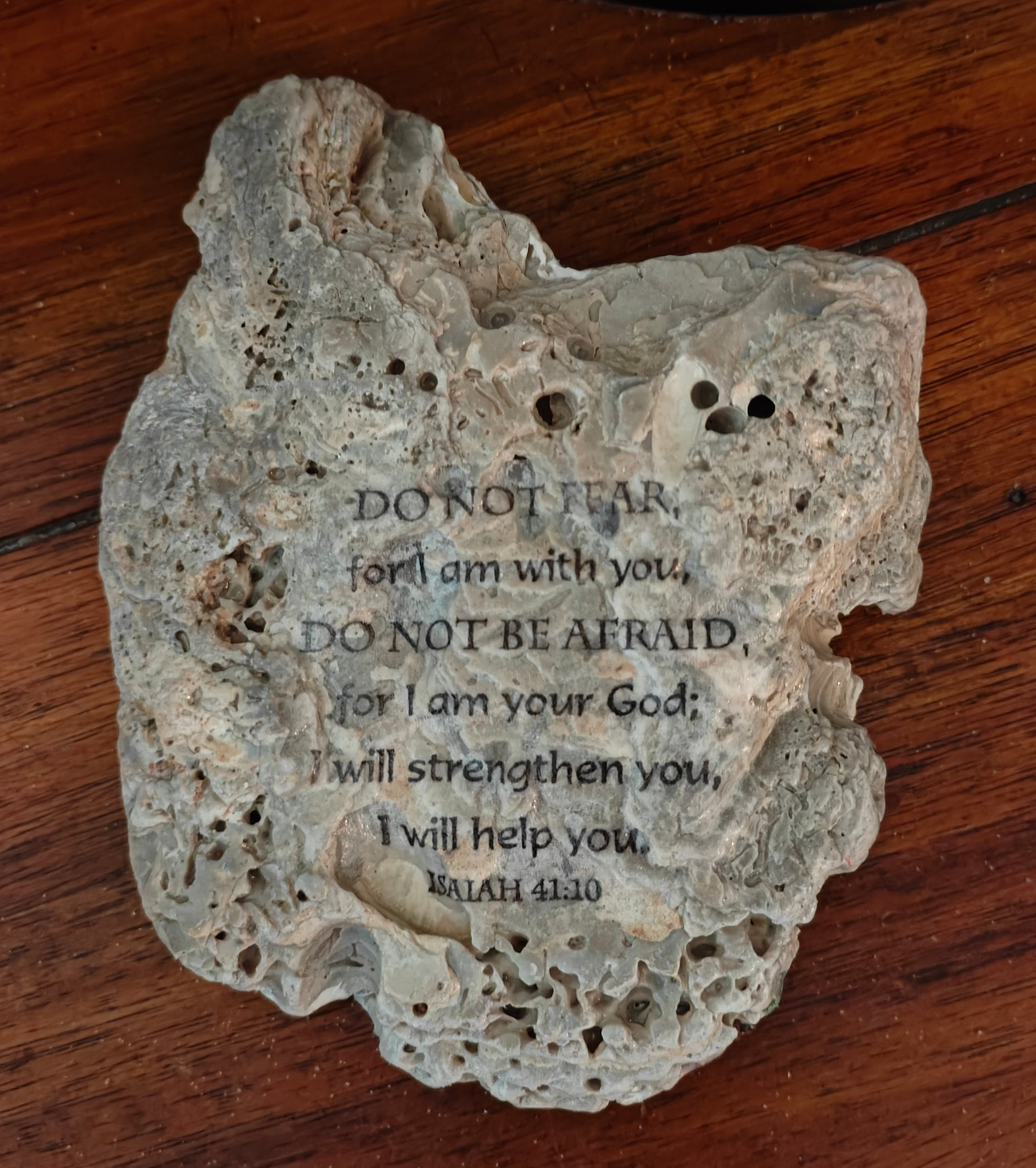 The "Son-Seeker" Sunflower & Cross Shell