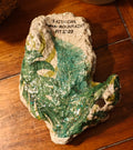 Faith Can Move Mountains" Botanical Shell – Medium Natural Hand-Decorated Art