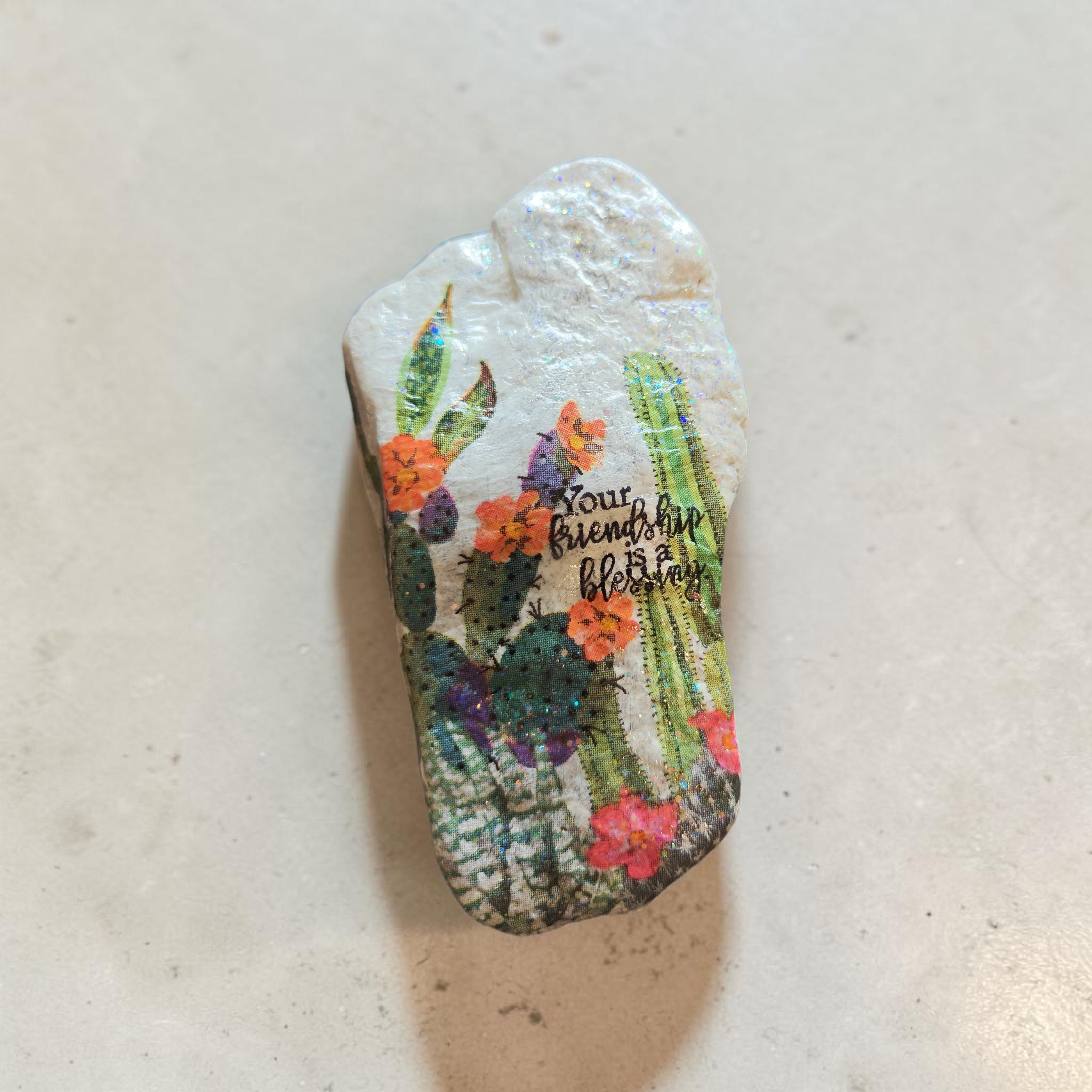 "Friendship Is A Blessing" Colorful Cactus Stone – Hand-Decorated Desert Flora Keepsake