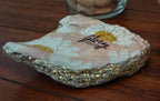 Glory to God" Natural Pink Shell – Hand-Designed Daisy Motif – Medium