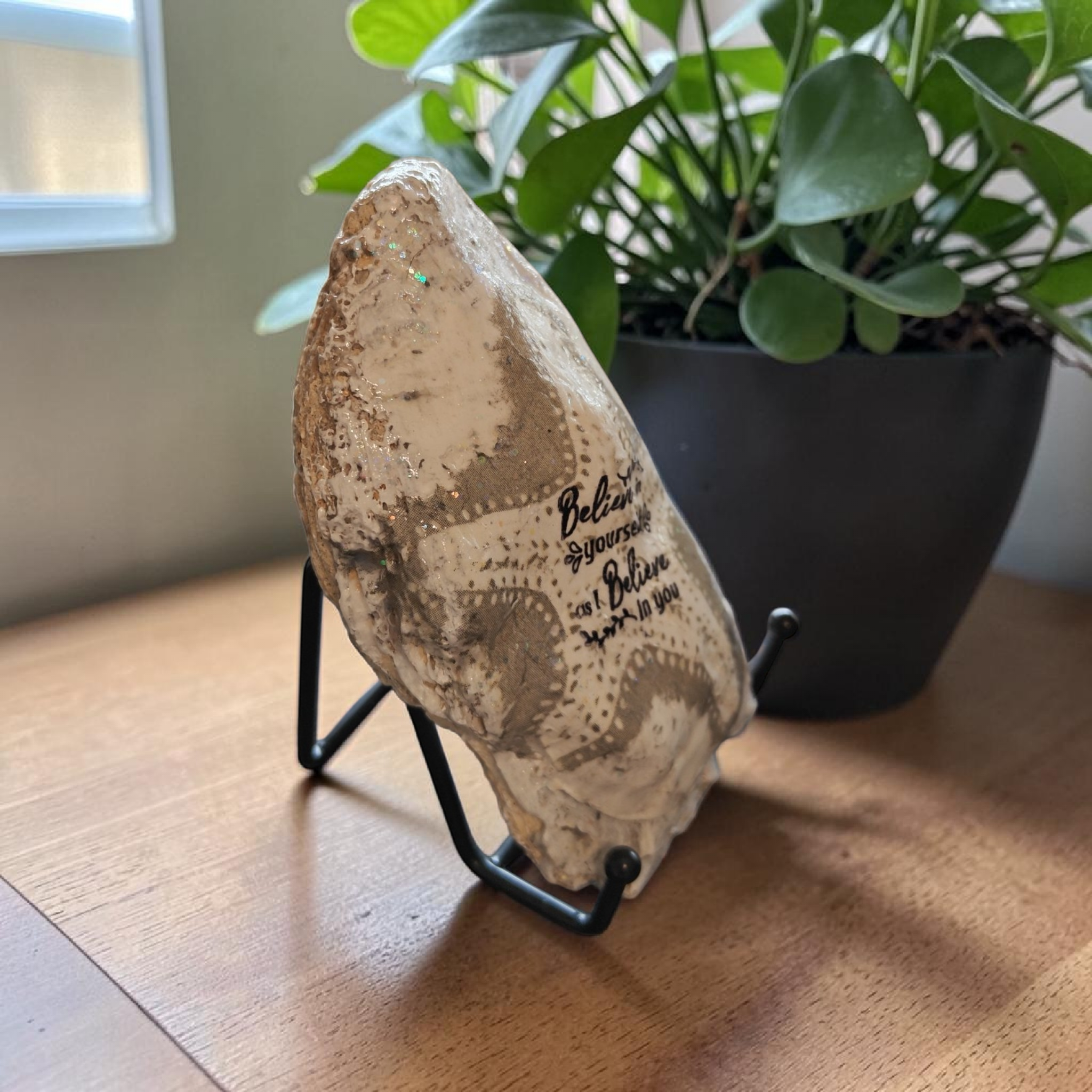 "Believe in Yourself" Starfish Natural Shell – Handcrafted Encouragement Gift