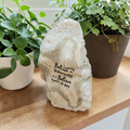 "Believe in Yourself" Starfish Natural Shell – Handcrafted Encouragement Gift