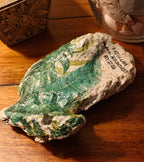 Faith Can Move Mountains" Botanical Shell – Medium Natural Hand-Decorated Art