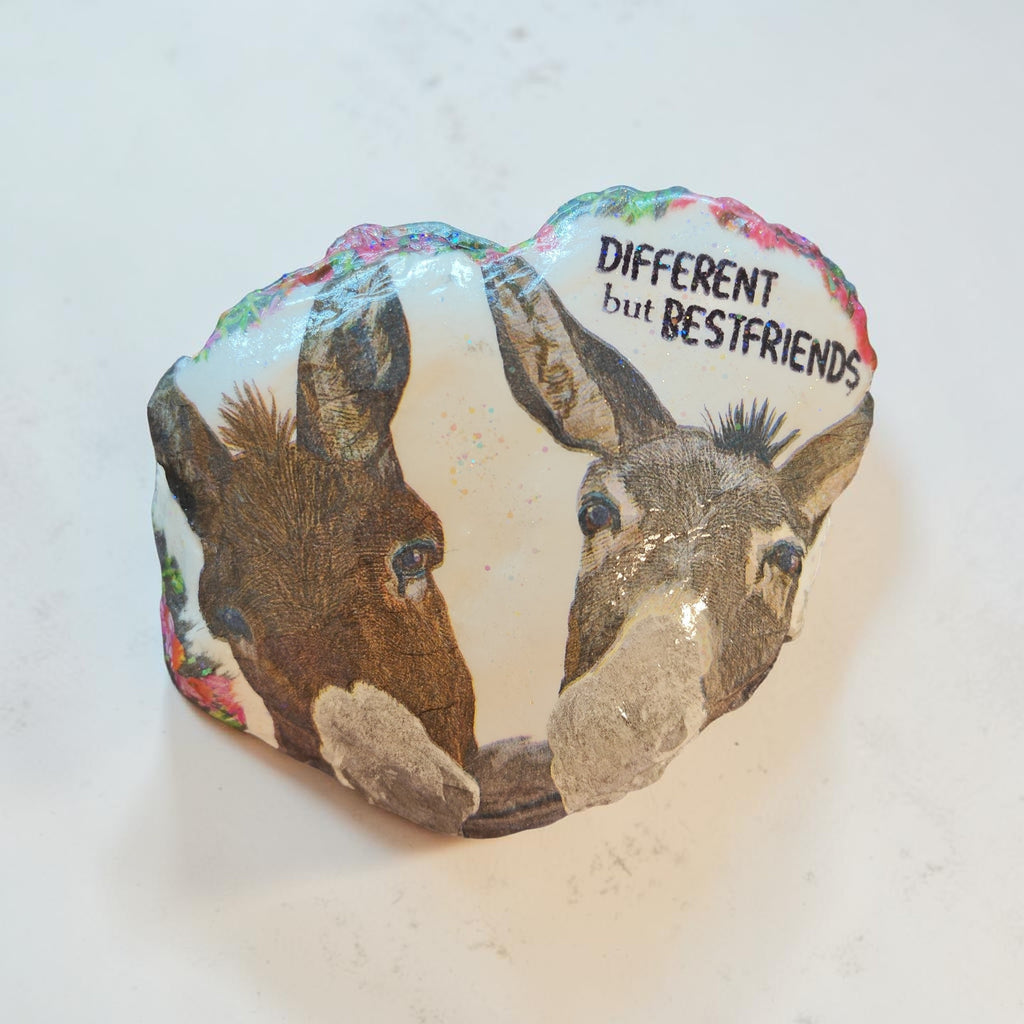 "Different But Best Friends" Handcrafted Natural Shell Decor – Medium