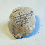 "New Adventure" Jeremiah 29:11 Shell | Coastal Milestone Gift