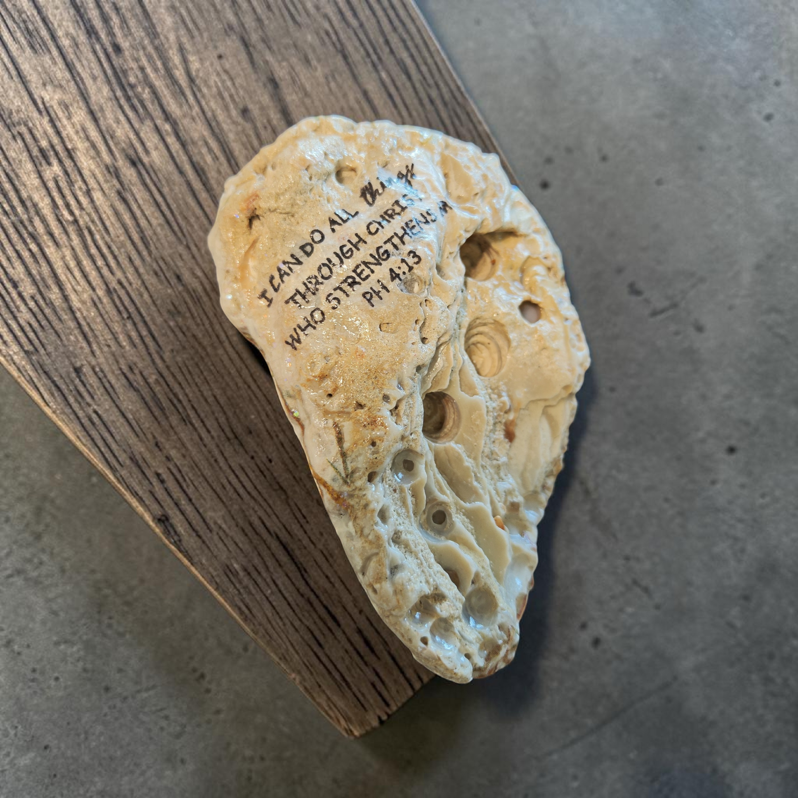 "All Things Through Christ" Peacock Shell | Natural Faith Decor